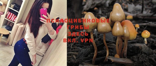 a pvp Алексеевка