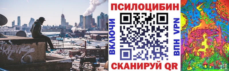 omg ТОР  Краснообск  Псилоцибиновые грибы Psilocybe 
